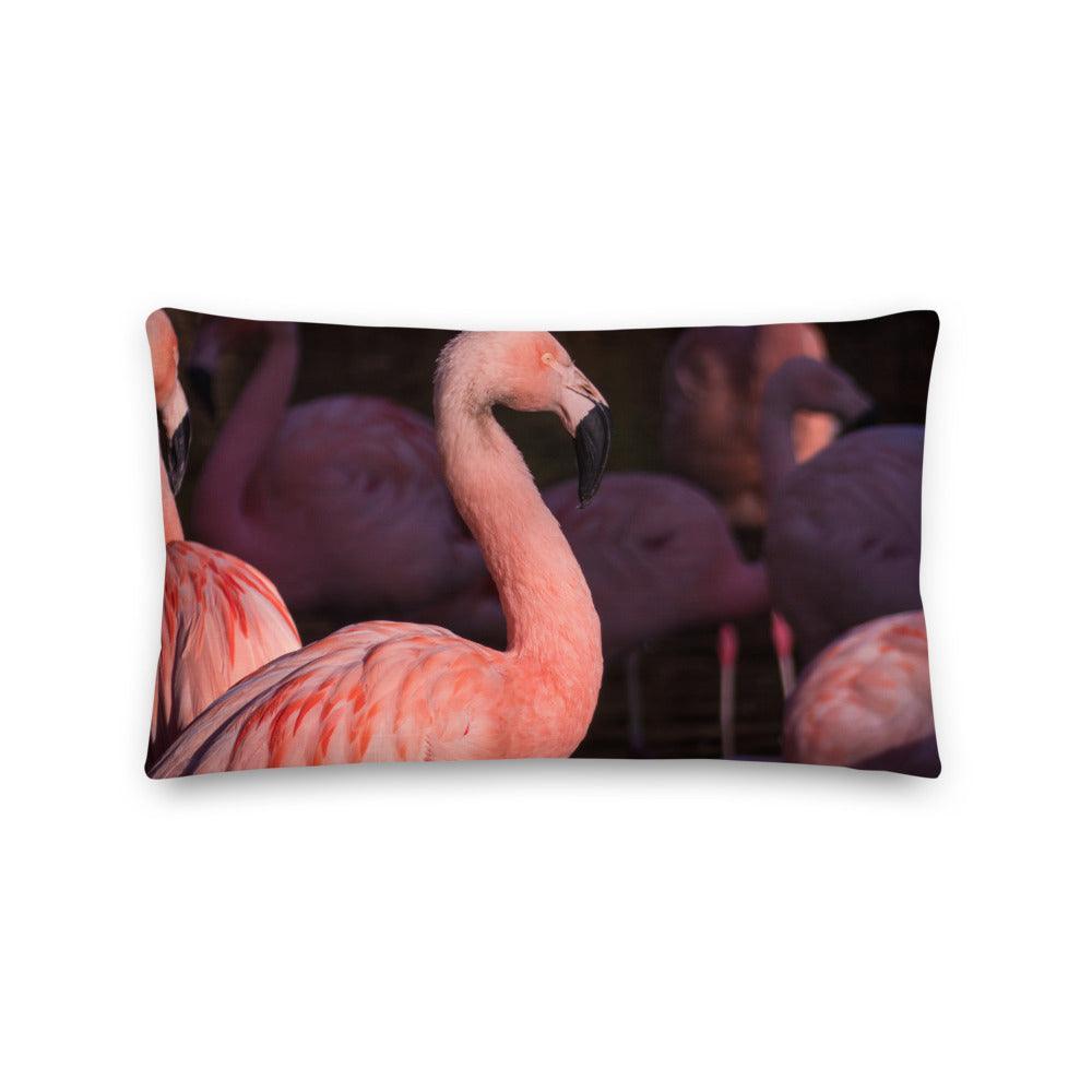 Flamingo am Abend - Dekokissen Howling Nature