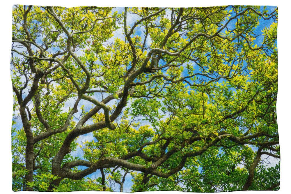 Magnolienbaum den Himmel ergreifend - Kuscheldecke Howling Nature