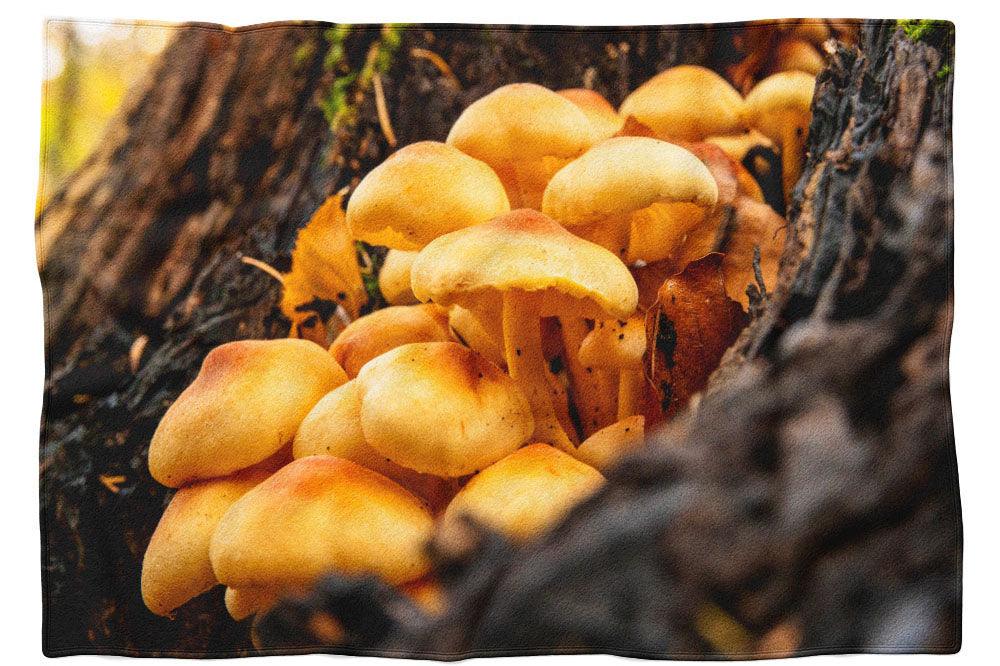 Pilze am Baum - Kuscheldecke Howling Nature