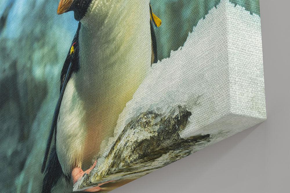 Pinguin im Eis - Leinwand Howling Nature