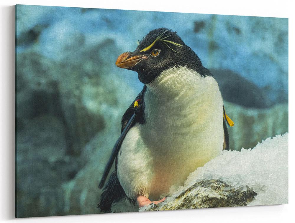 Pinguin im Eis - Leinwand Howling Nature