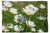 Gänseblümchen auf der Wiese - Kuscheldecke - Howling Nature