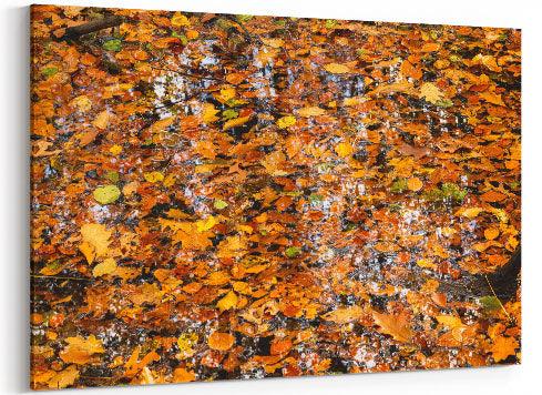 Herbstblätter im Teich - Leinwand - Howling Nature