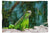 Leguan in Smaragdgrün - Kuscheldecke - Howling Nature