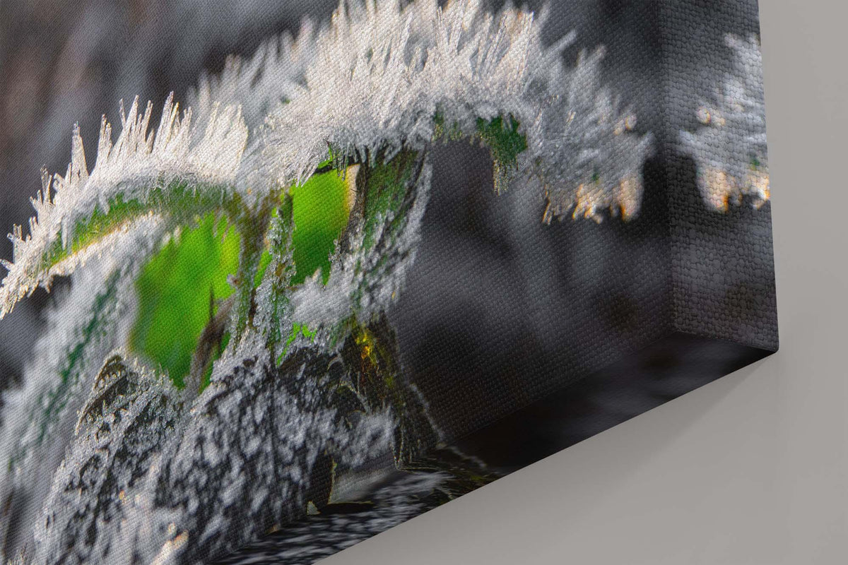 Smaragdblätter mit Eiskristallen - Leinwand - Howling Nature
